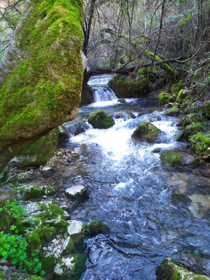Casa Curro Lejlighed El Bosque Eksteriør billede